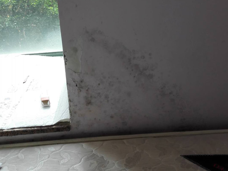墻面起霉維修：墻壁起霉的處理：打磨、修補、刷防水涂料。
1、用砂紙打磨干凈，如果有脫層，用鏟刀處理平整；
2、如果墻面不平整，需要用膩子修補平整；如果墻面比較平整，建議先涂刷封閉底漆，然后再刷乳膠漆。
3、為了防止后期墻面再次發(fā)霉，建議再刷一層防水涂料、乳膠漆等。