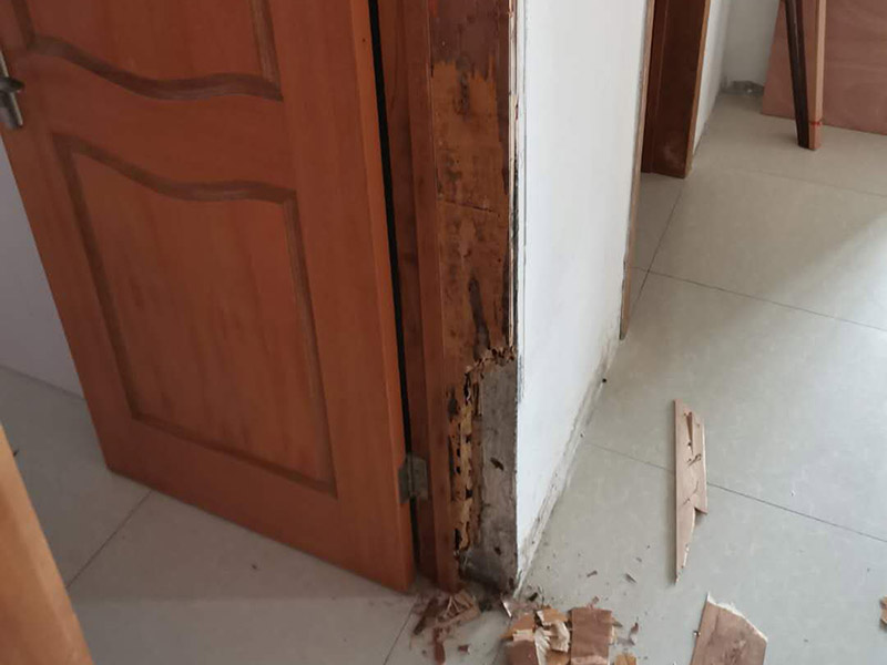 臥室門框維修：1.漆面表面劃傷用bai一只顏色與家具相同的普du通的繪圖用蠟筆，在劃痕zhi上劃一劃，使其與周邊漆面dao高度相同，再薄薄地涂上一層透明的清漆就可以了；2.油漆剝落修復(fù)，清漆家具表面小塊油漆剝落后可取同色廣告顏料涂補(bǔ)，再用清漆涂在表面，即完好如初3.裂縫填補(bǔ)用油灰和顏料拌勻后嵌入堵平，但要注意顏料要和原油灰的顏料、原油漆色彩一致，以防留下疤跡