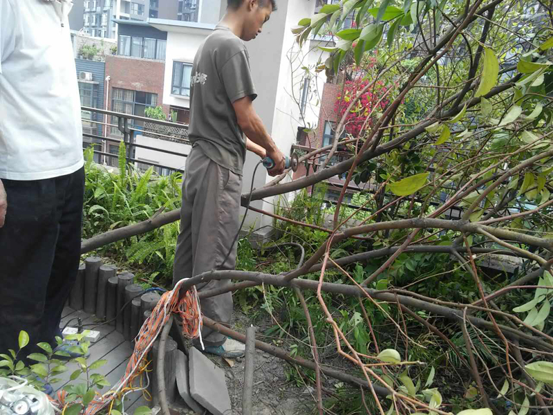 屋頂花園怎么裝修，樓頂花園裝修注意事